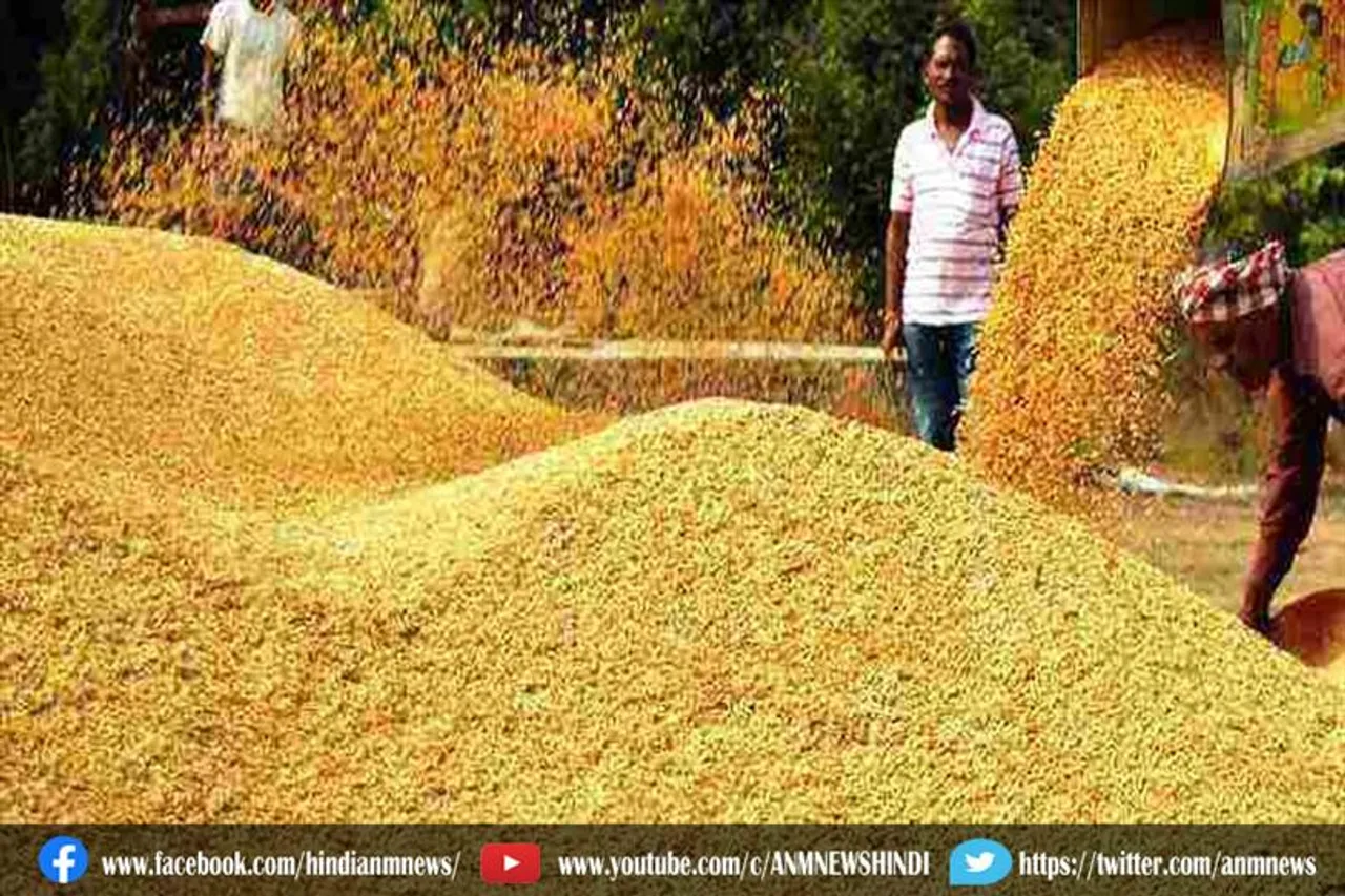 15 दिसंबर से शुरू होगी झारखंड में धान की खरीद