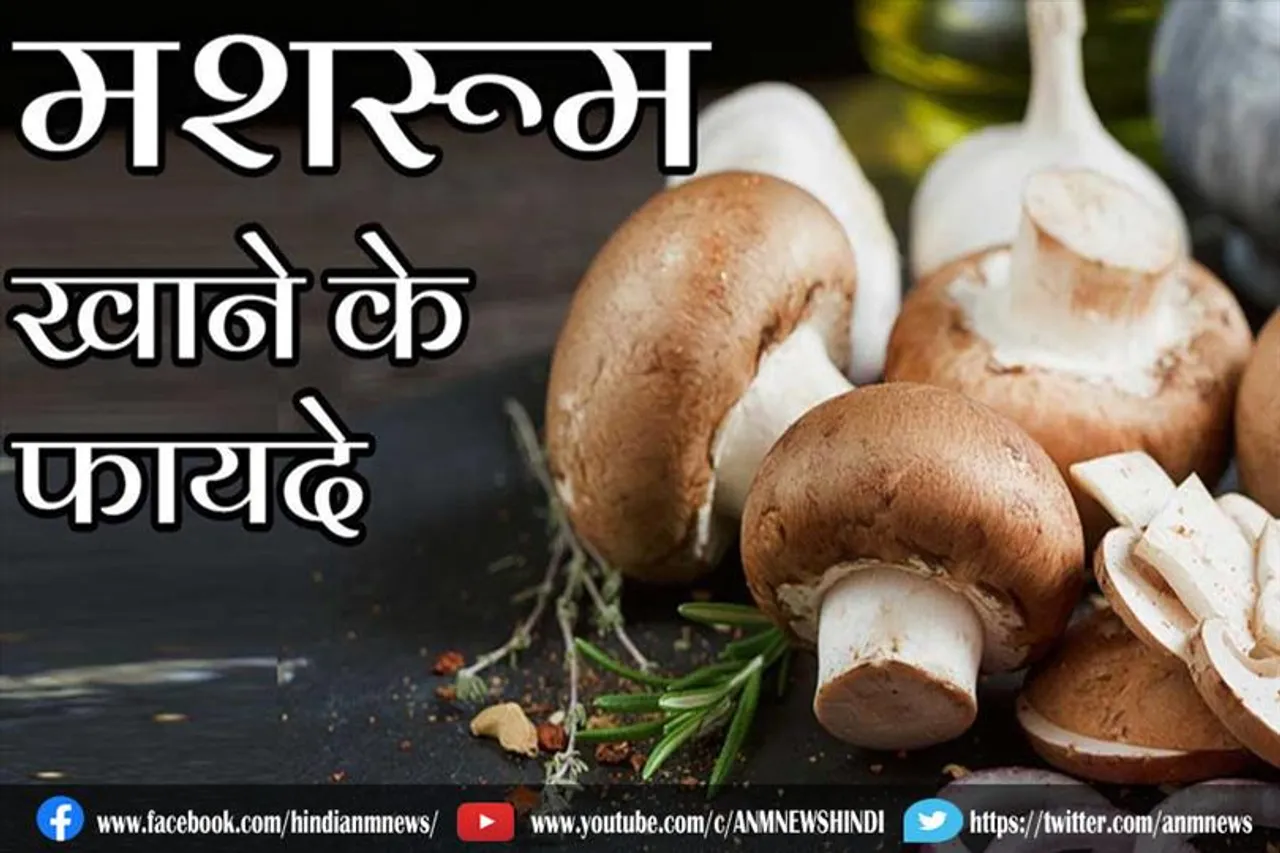 मशरूम खाने के फायदे