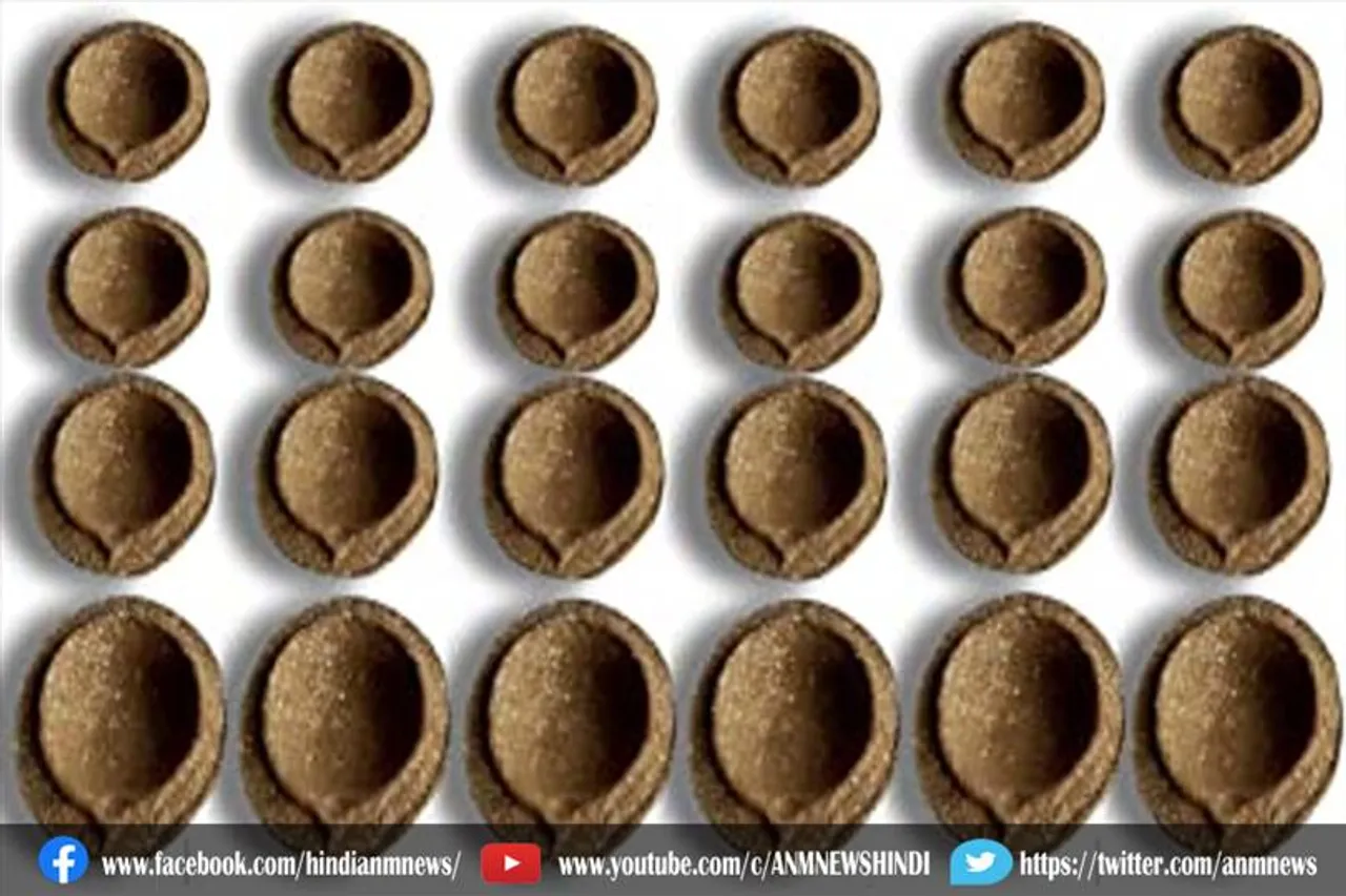 गोबर से 100 करोड़ दिये बनाने का रिकॉर्ड