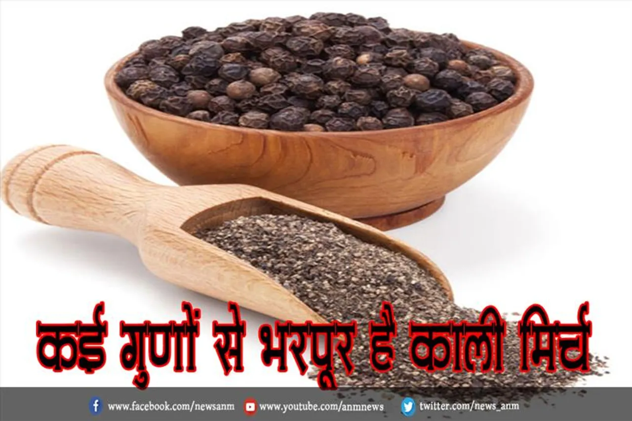 कई गुणों से भरपूर है काली मिर्च
