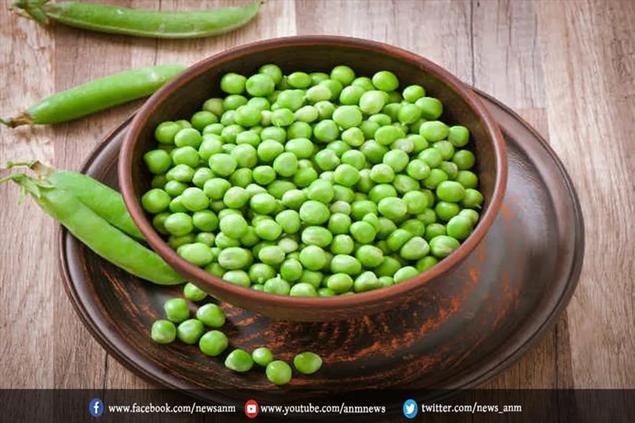 जानिए, हरी मटर खाने से सेहत को मिलती हैं ये जबरदस्त फायदे