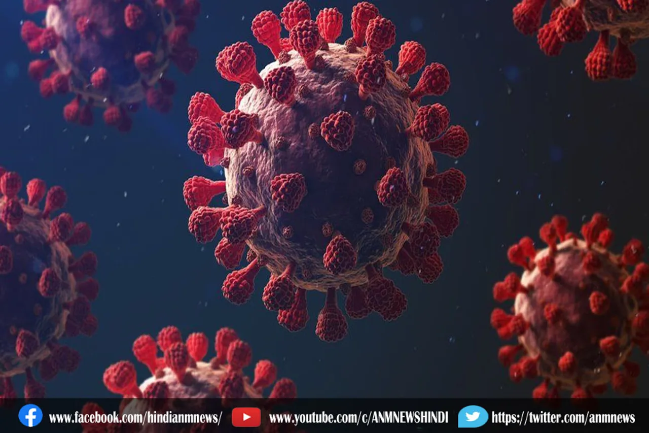 कोरोना मामले में हाईकोर्ट में जनहित याचिका