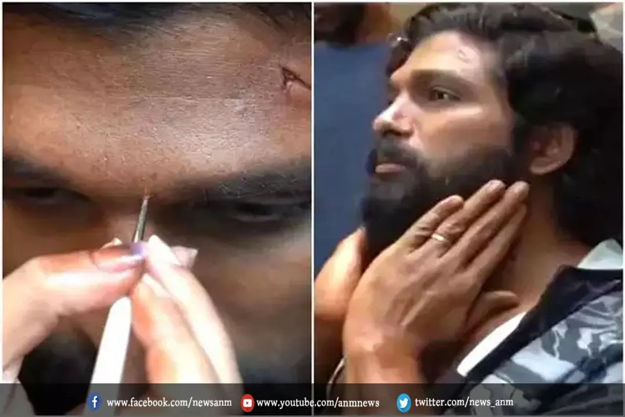 अल्लू अर्जुन कैसे बने पुष्पा राज