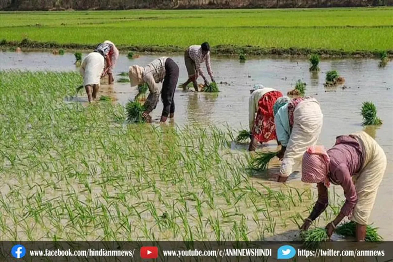 बारिश से हुआ किसानों को फायदा