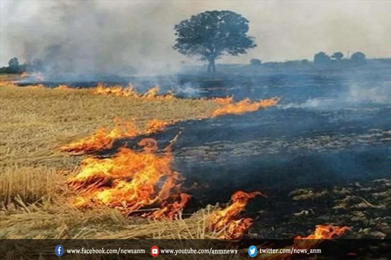 पराली जलाने पर दिल्ली के उपराज्यपाल ने पंजाब सीएम को लिखा पत्र