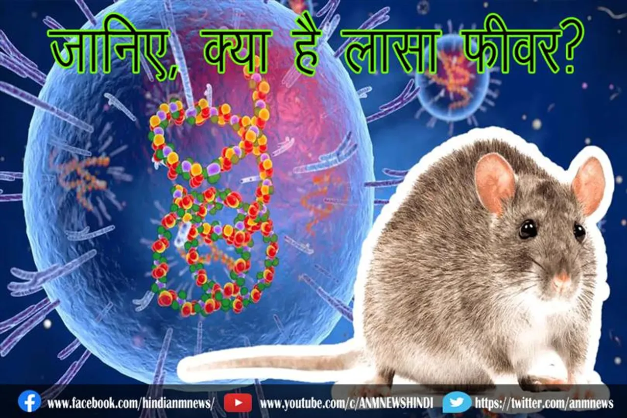 जानिए, क्या है लासा फीवर?