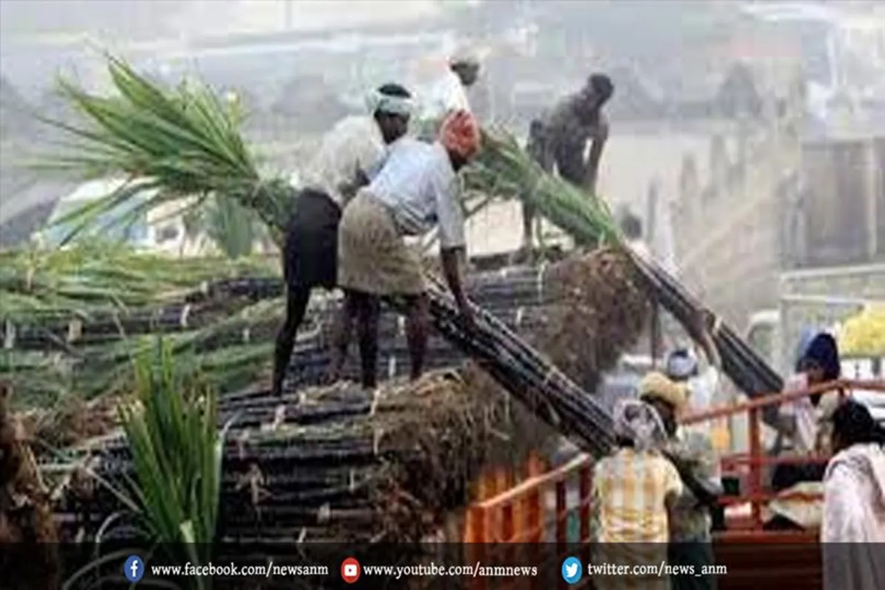 गन्ना किसानों के लिए बड़ी खुशखबरी