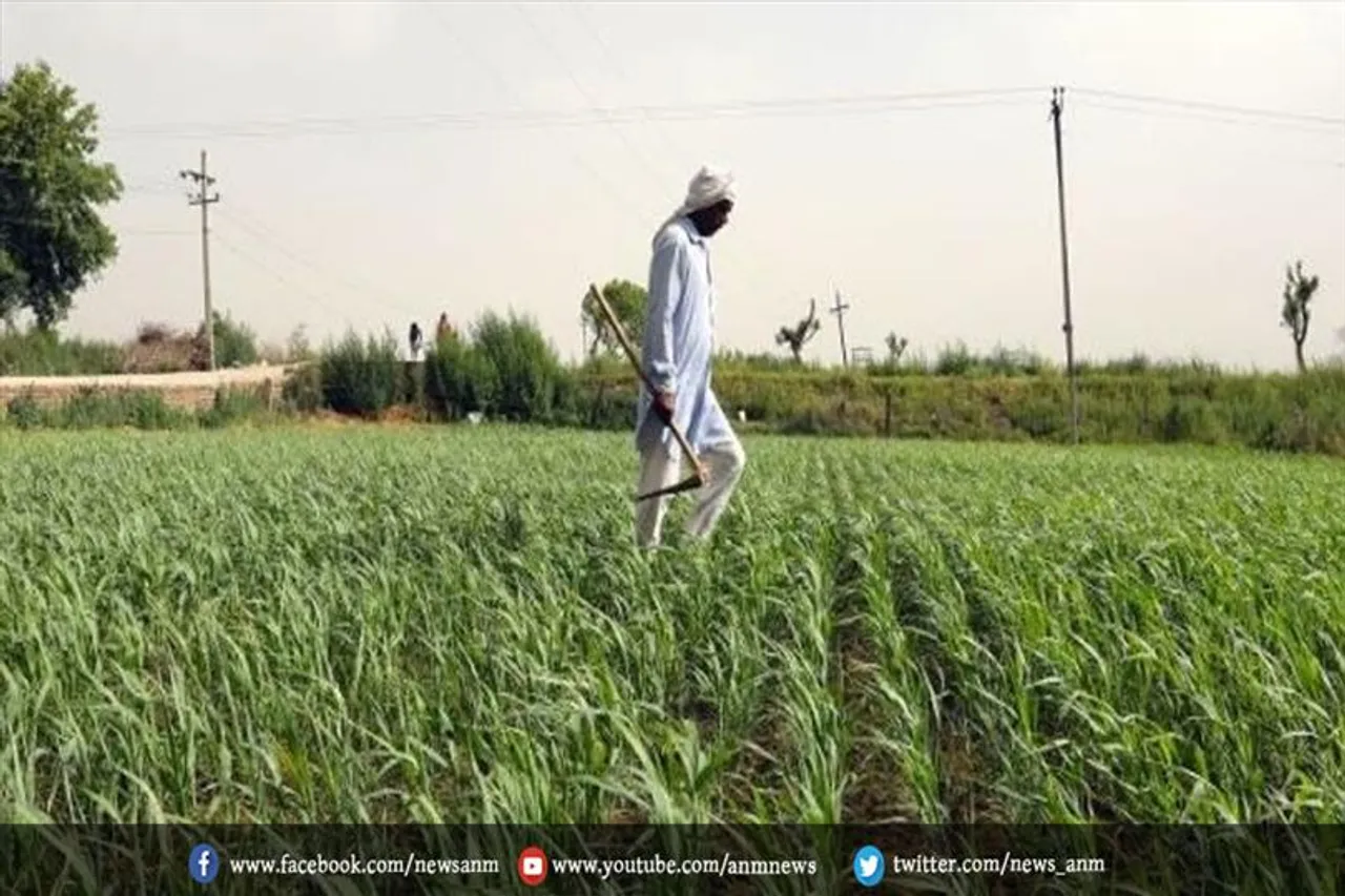 किसान बजट: सीधे किसानों के खाते में MSP का भुगतान
