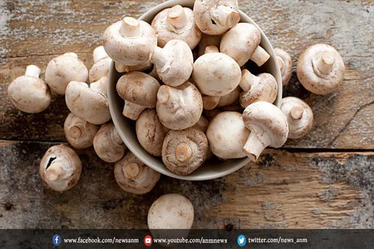 मशरूम खाने के दुष्प्रभाव