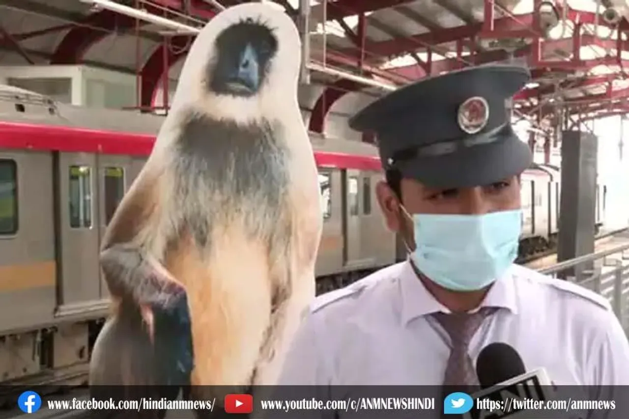लखनऊ के 9 मेट्रो स्टेशनों लगी लंगूरों की तस्वीर