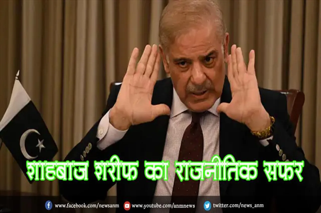 शाहबाज शरीफ का राजनीतिक सफर