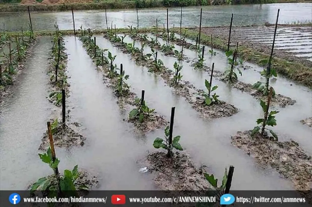 सोमवार को राज्य के कई जिले में भारी बारिश की संभावना