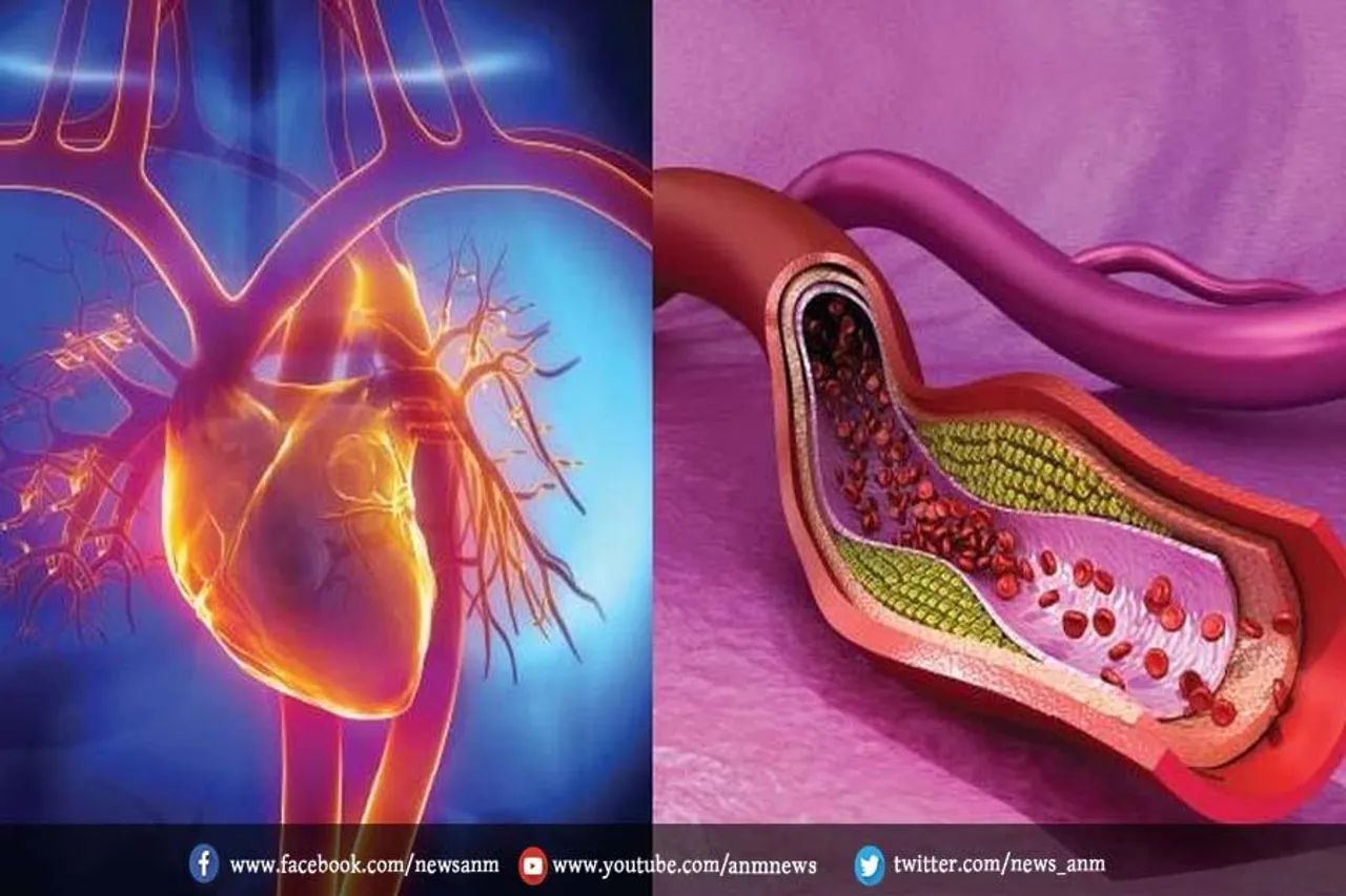 नसों की ब्‍लॉकेज को ठीक करती हैं मेथी और दालचीनी