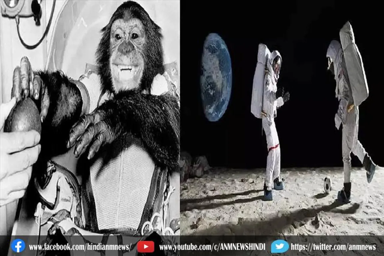 बंदरों, कुत्तों और चिम्पैंजियों का बड़ा योगदान