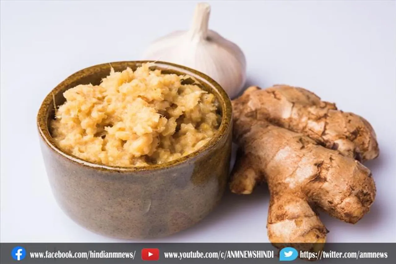 अदरक लहसुन पेस्ट को स्टोर करने के लिए फॉलो करें ये टिप्स