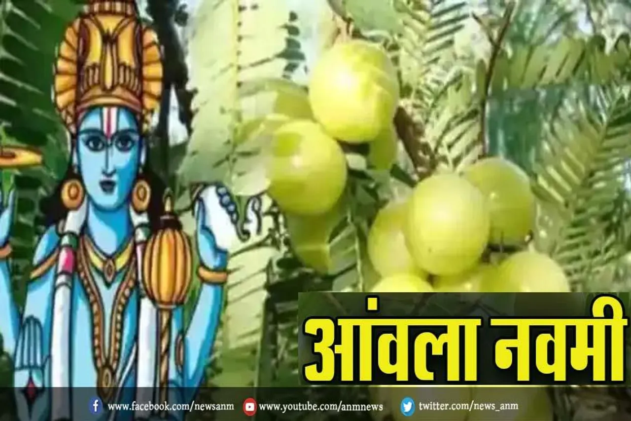 आंवला नवमी आज, जानें शुभ मुहूर्त और महत्व