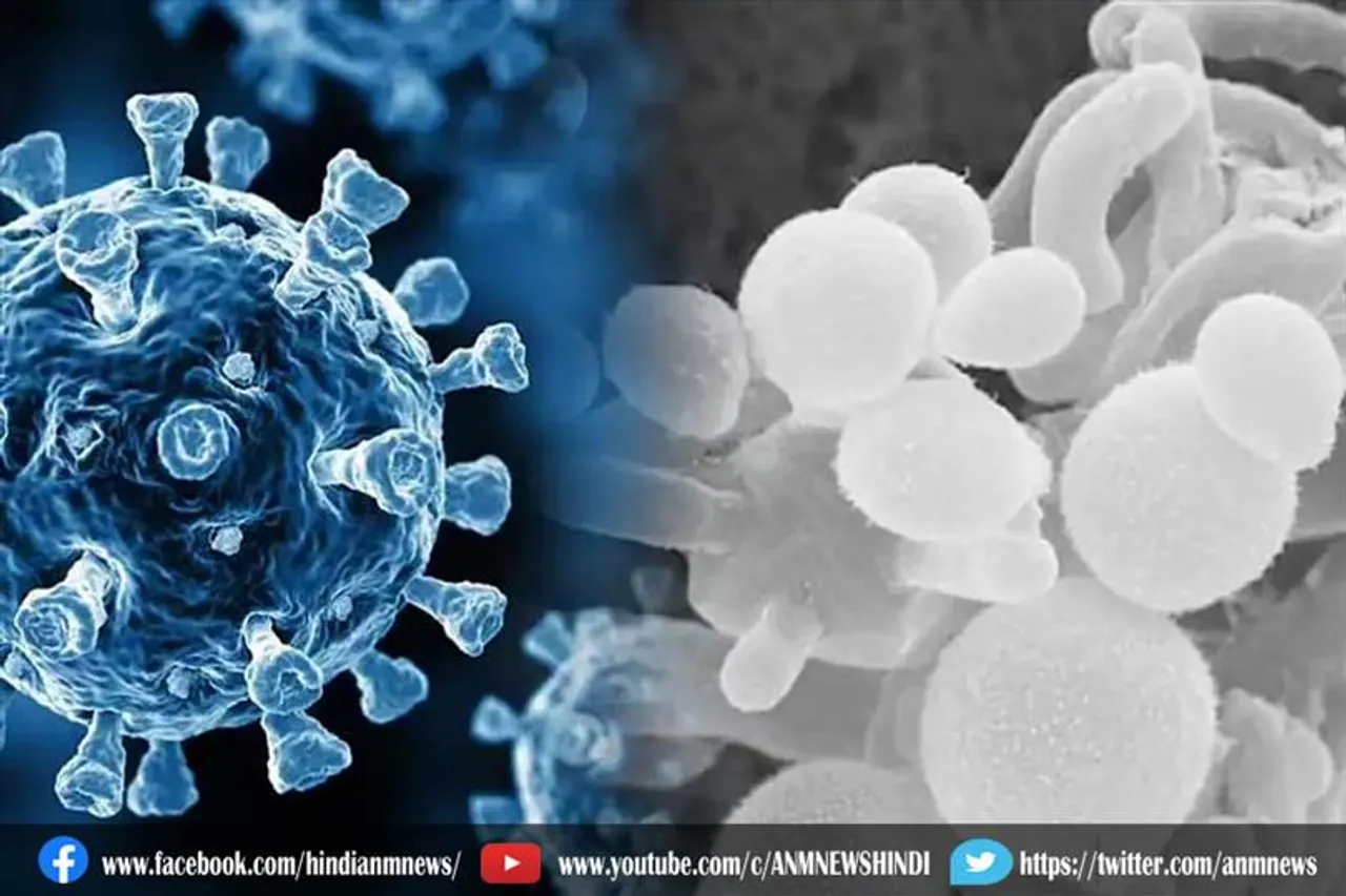 कोरोना से रिकवर हुए मरीज के दिमाग में पहुंचा व्हाइट फंगस