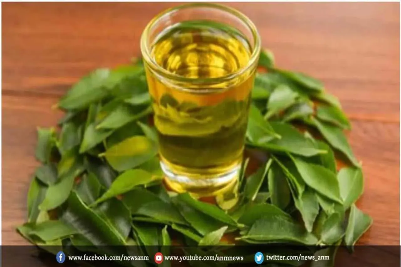 क्या आपने पी है कभी करी पत्ते की चाय? जानिए इसके फायदे