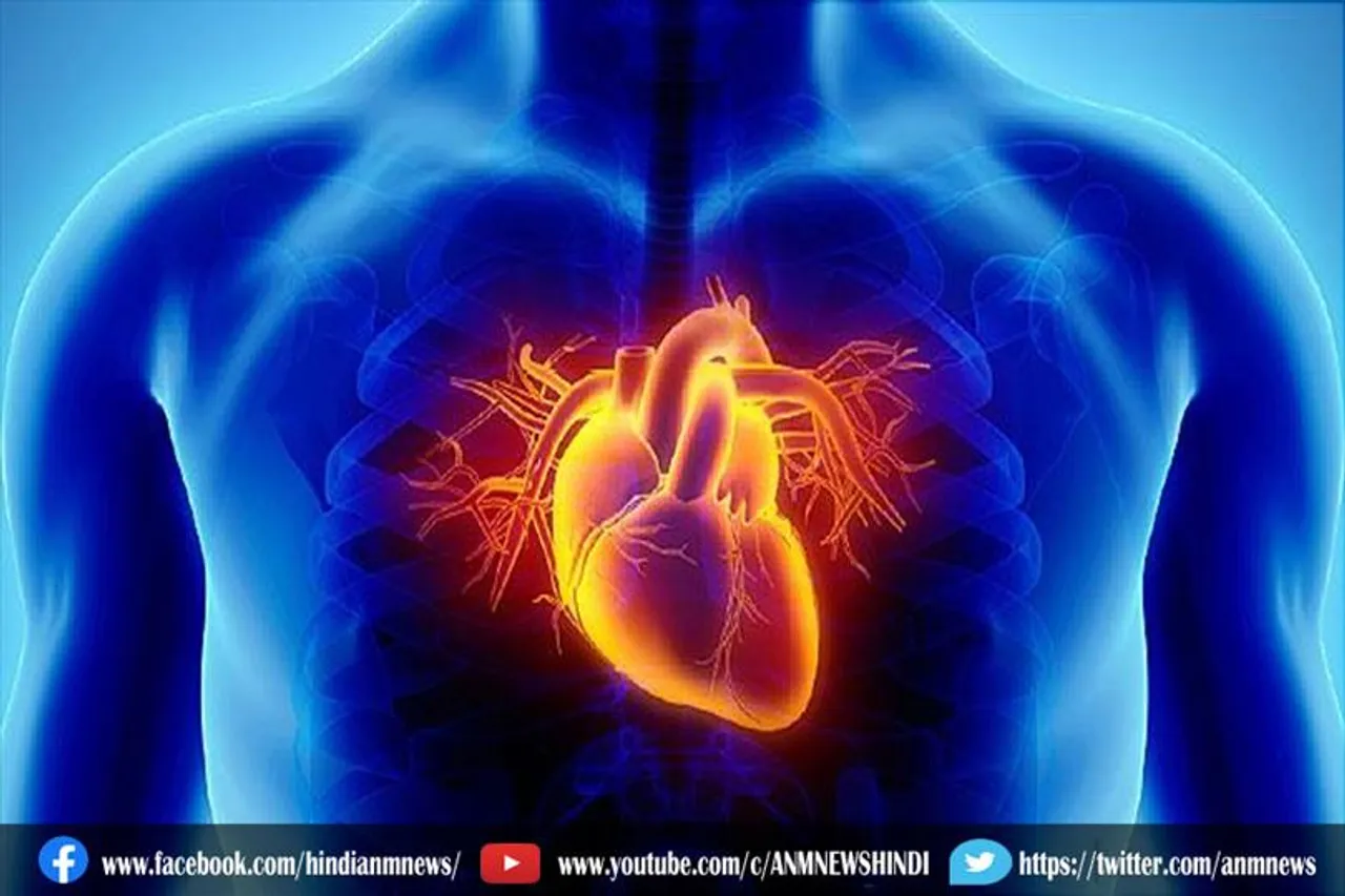 हार्ट ब्लॉकेज के कई कारण