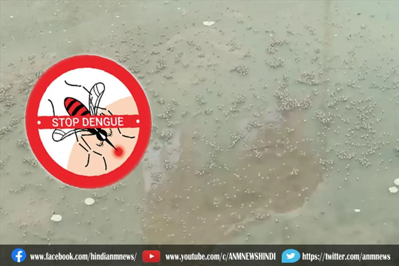 पांडवेश्वर में डेंगू के खिलाफ विभिन्न एहतियाती कार्यक्रम