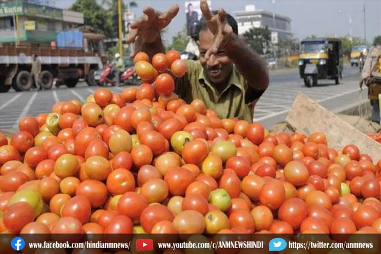 थोक बाजार में जमीन पर गिरे टमाटर के दाम