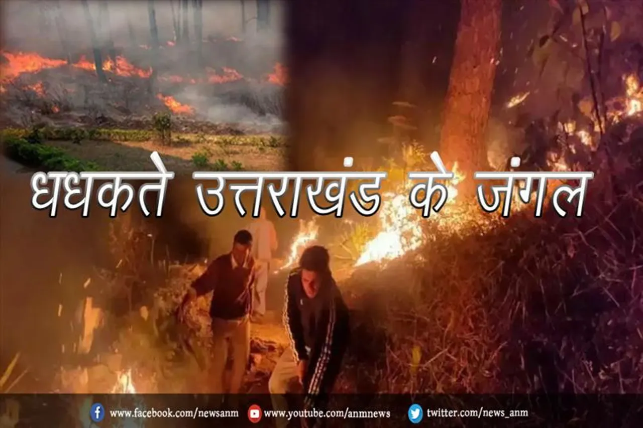 धधकते उत्तराखंड के जंगल
