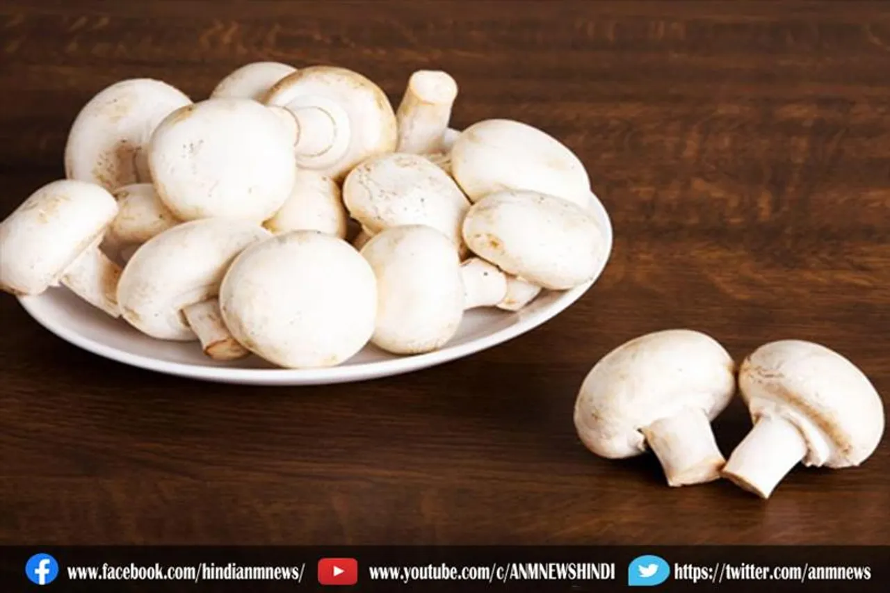 जानिए, मशरूम के कई फायदे