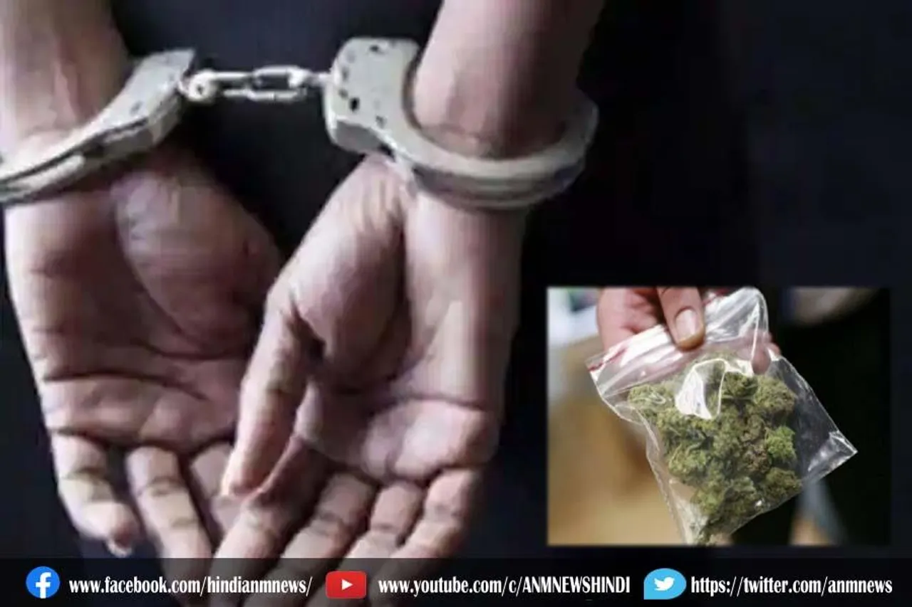 ओडिशा में तीन क्विंटल से अधिक गांजा बरामद, चार गिरफ्तार