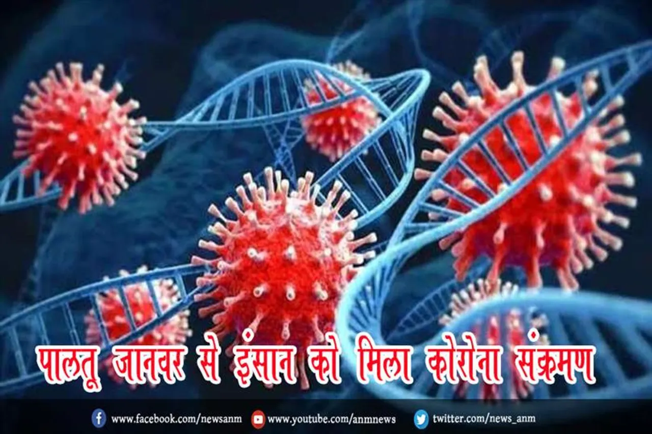 पालतू जानवर से इंसान को मिला कोरोना संक्रमण