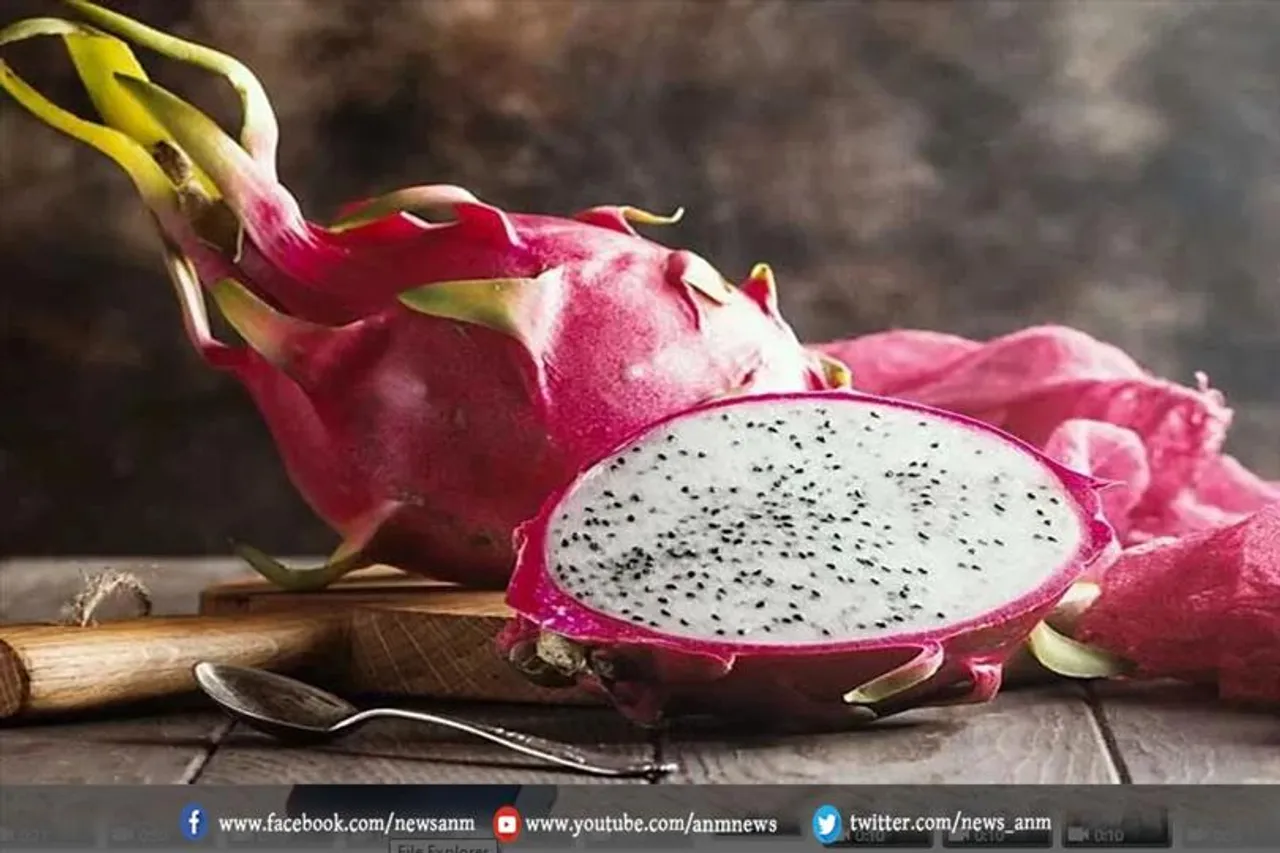 पोषक तत्वों का खजाना है ड्रैगन फ्रूट