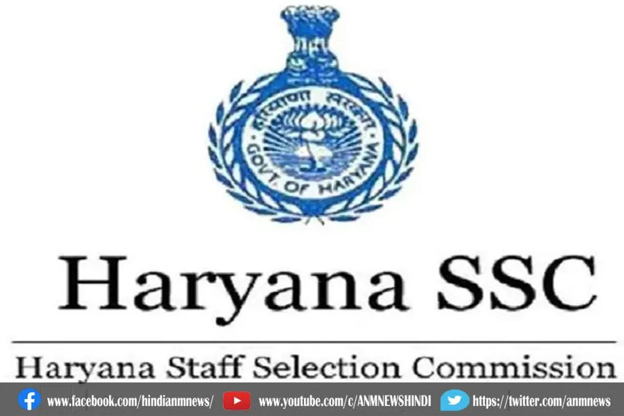 युवाओं के लिए होली का तोहफा : JOB