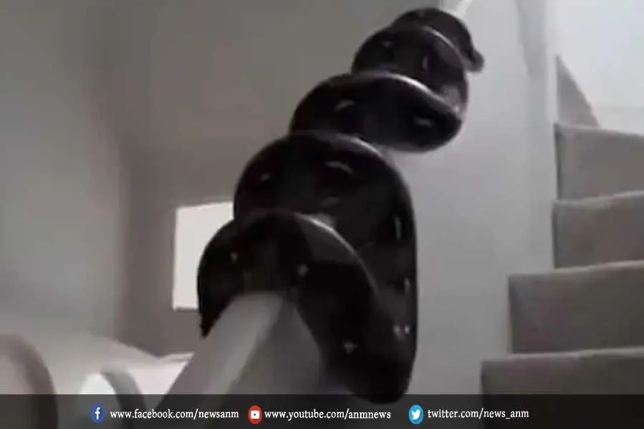 देंखे रोंगटे खड़े कर देने वाला वीडियो