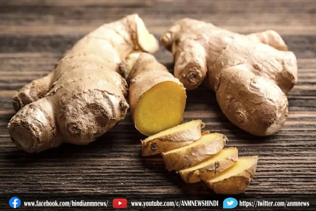 गैस की परेशानी दूर करेगा अदरक