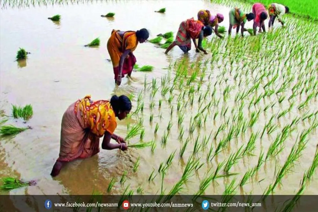 मानसून की मेहरबानी ने दिखाया रंग