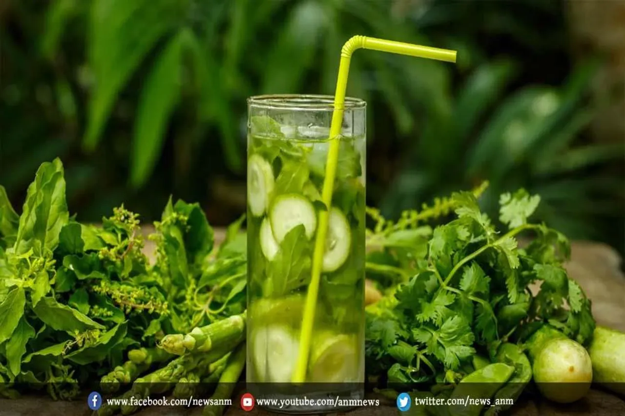 इन ड्रिंक्स की मदद से बॉडी को करें डिटॉक्स