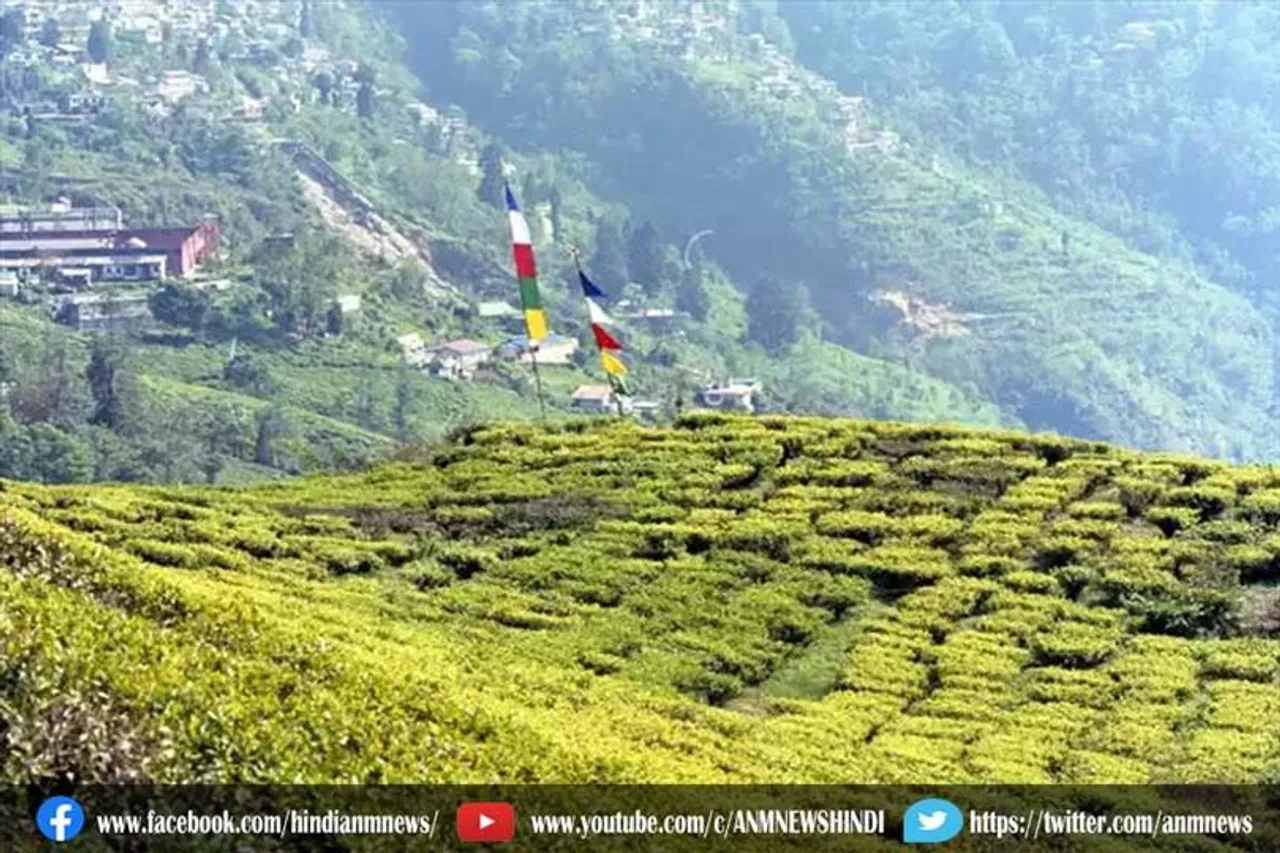 चाय श्रमिकों के लिए दोहरी श्रद्धांजलि