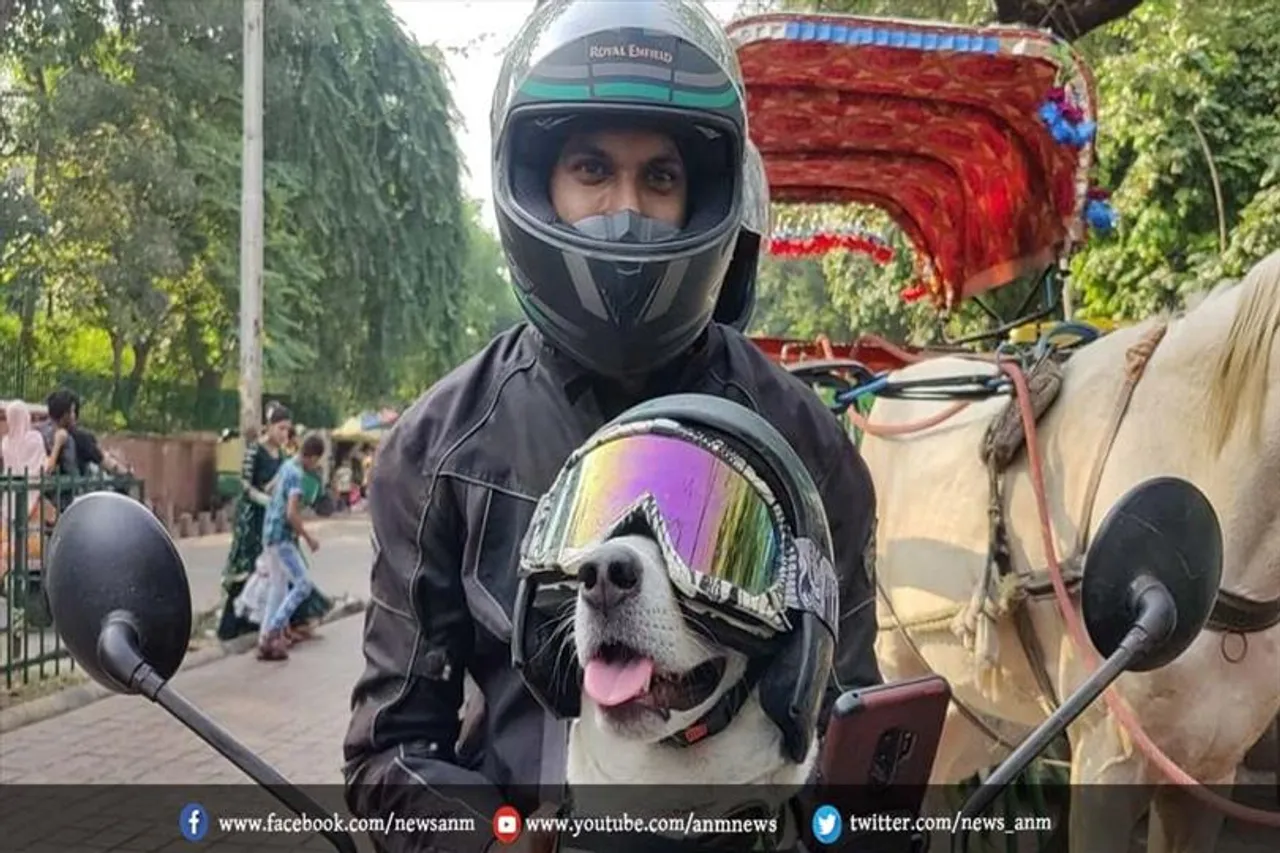 कुत्ते के लिए बनाया गजब का हेलमेट