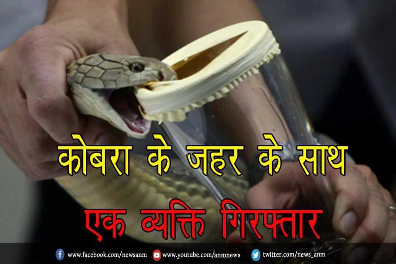 कोबरा के जहर के साथ एक व्यक्ति गिरफ्तार