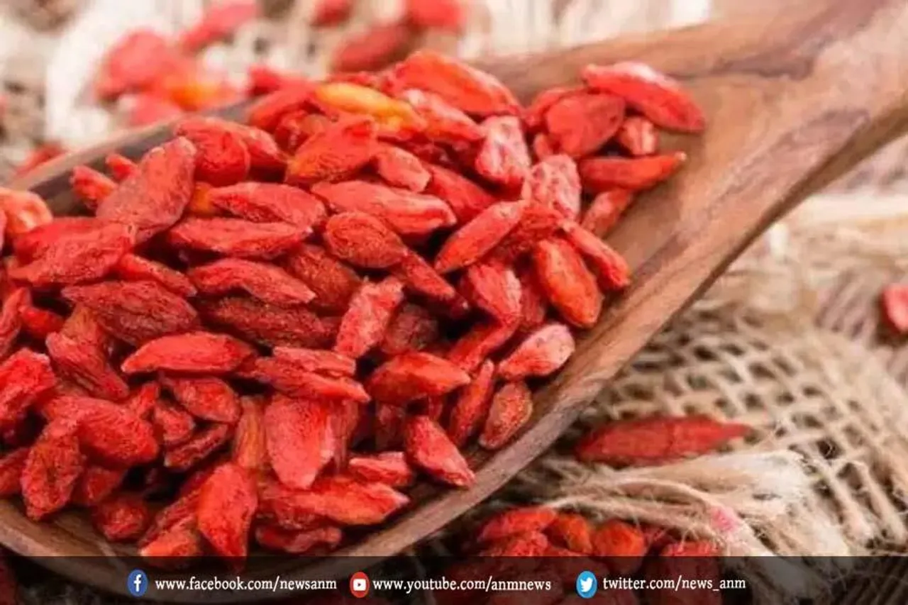 रामबाण है गोजी बेरी