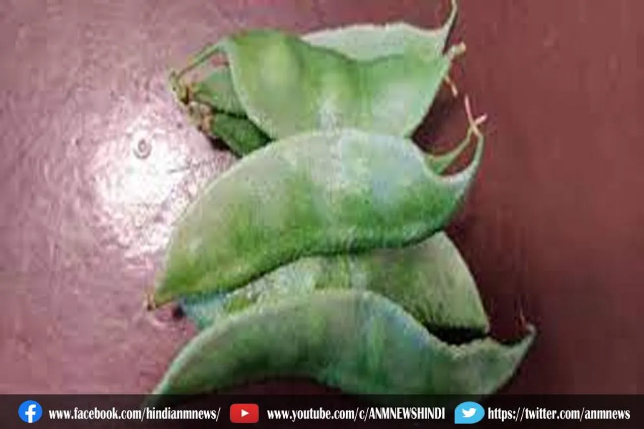 आयुर्वेद इन चीजों को रोज़ खाने क्यों करता है मना ?