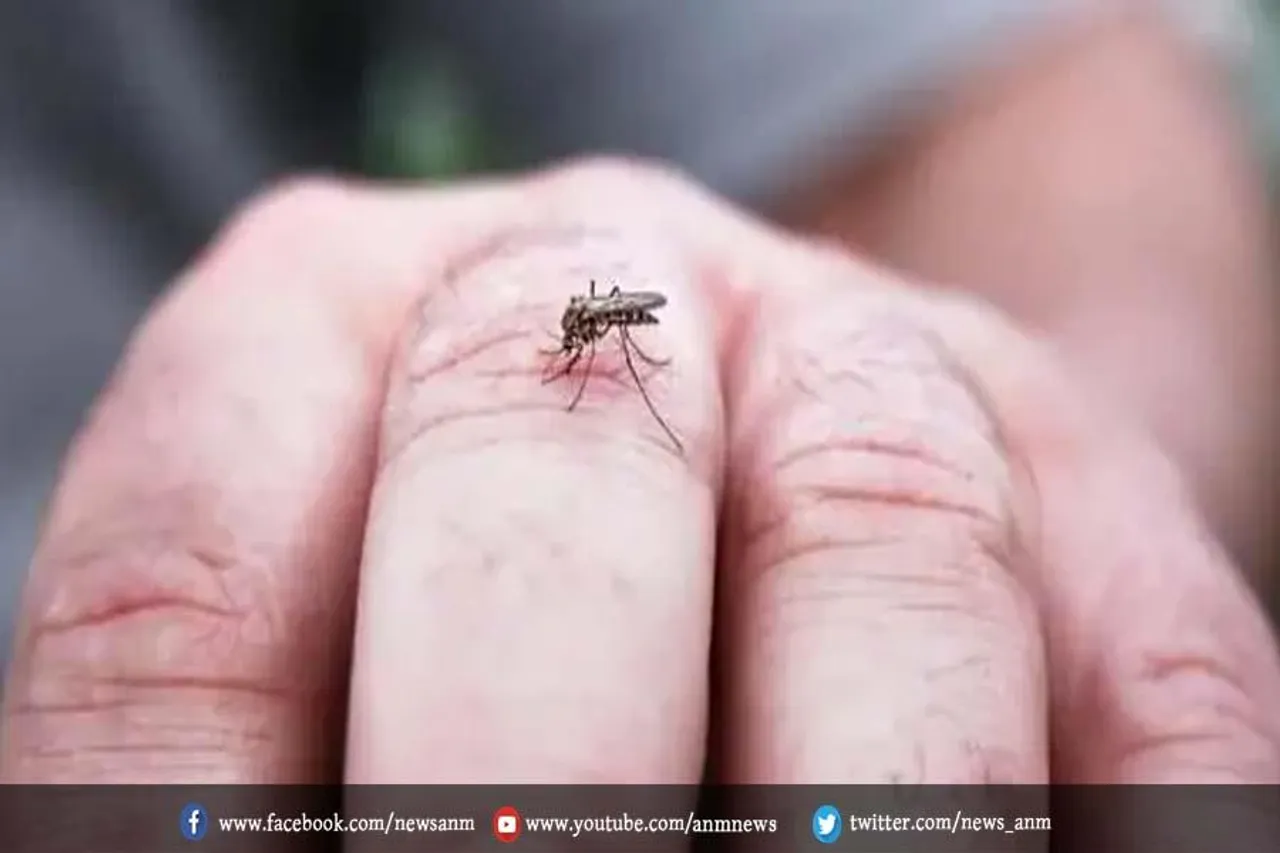 डेंगू का कहर जारी