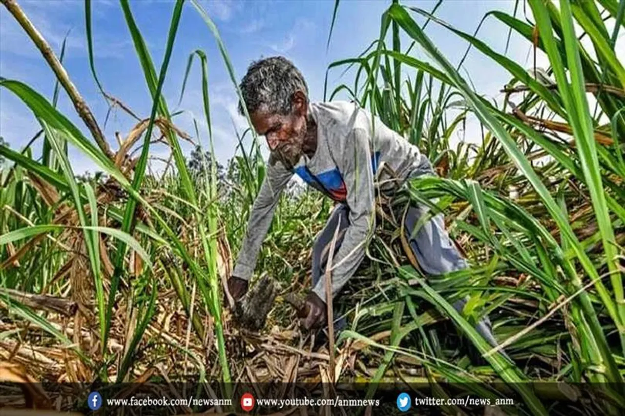 गन्ना किसानों के बकाया भुगतान पर मोदी ने क्या कहा?