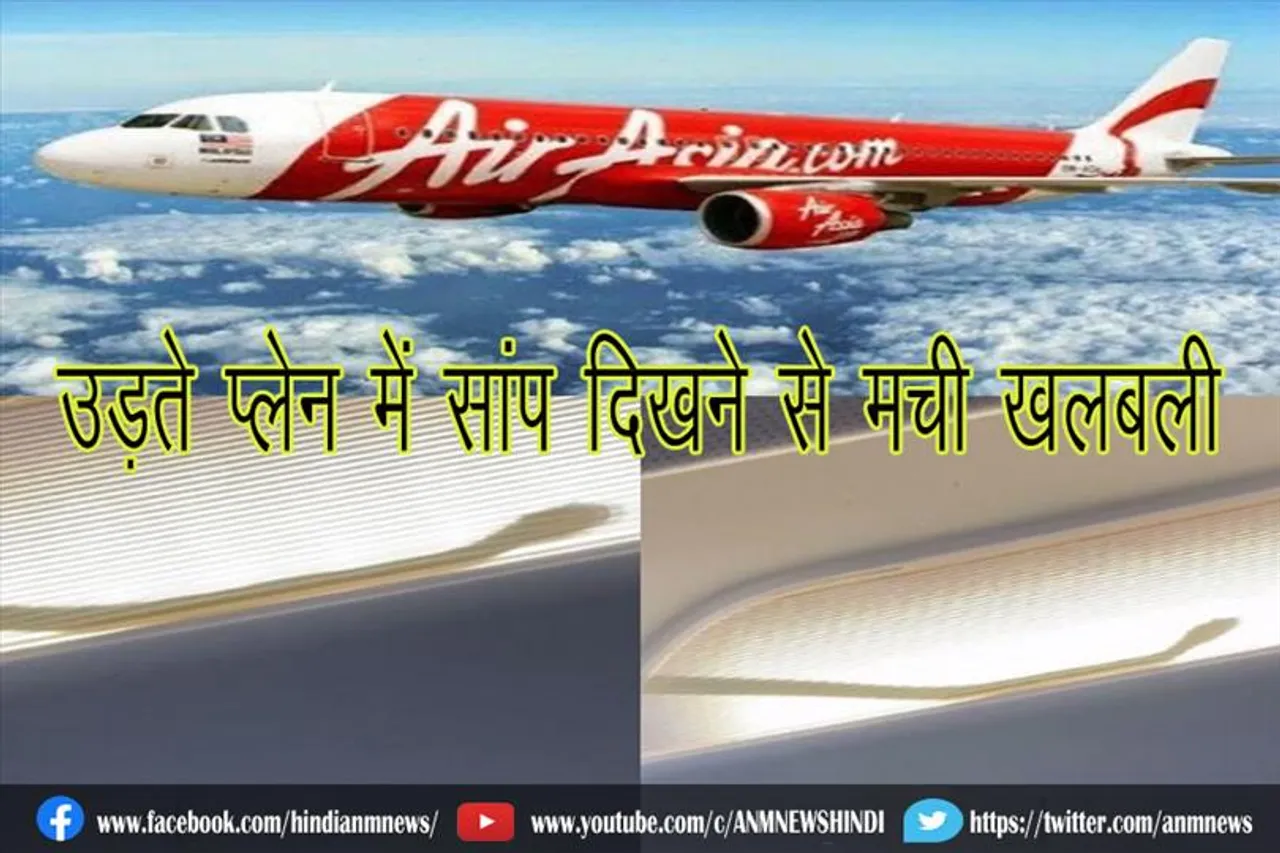 उड़ते प्लेन में सांप दिखने से मची खलबली