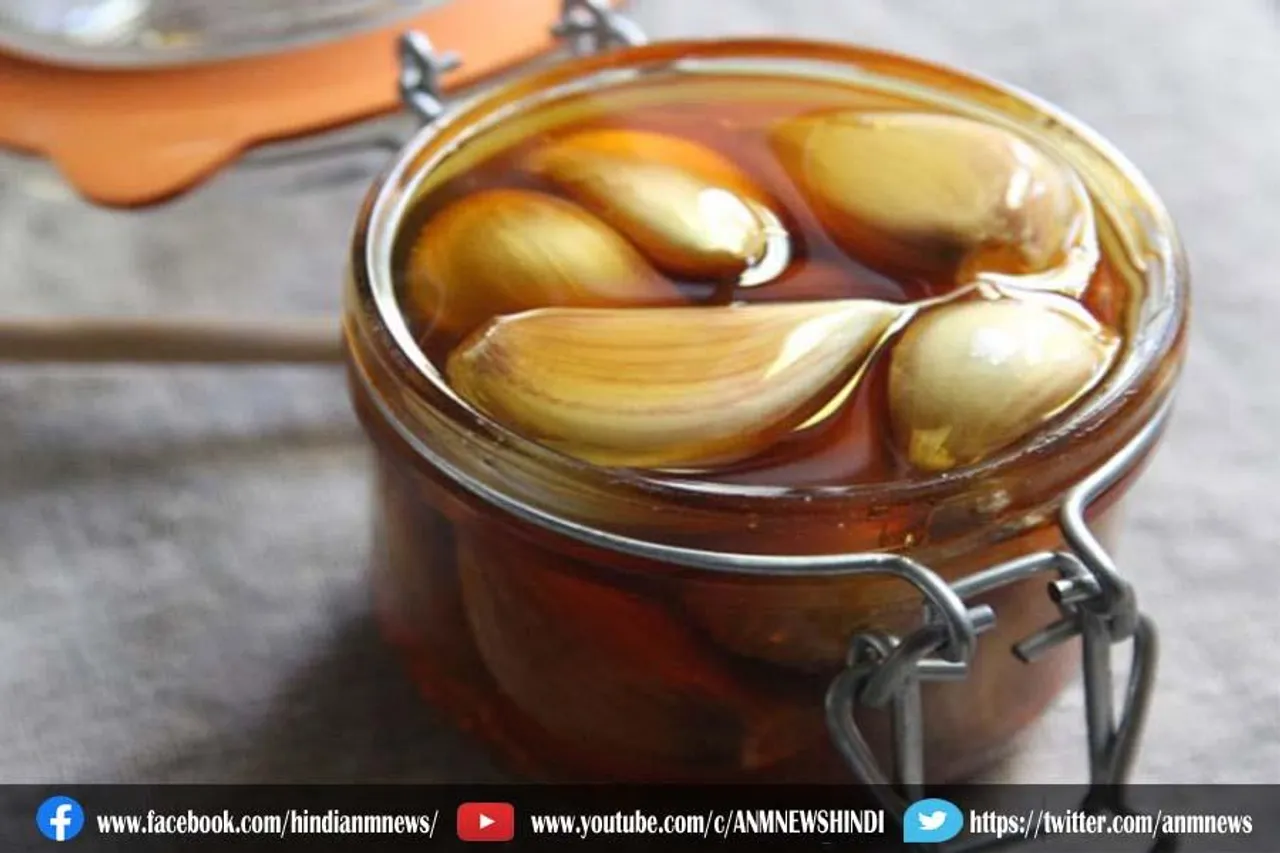 शहद में डूबा हुआ लहसुन खाने के फायदे