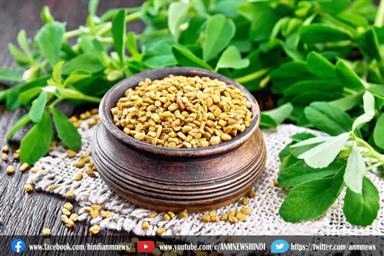 मेथी सेहत के लिए बेहद गुणकारी है
