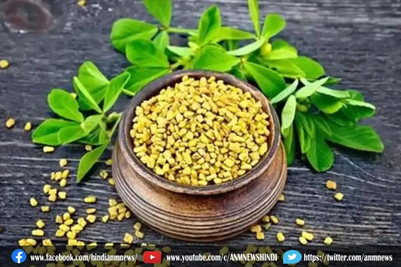शुगर पेशेंट के लिए रामबाण हैं मेथी की पत्तियां