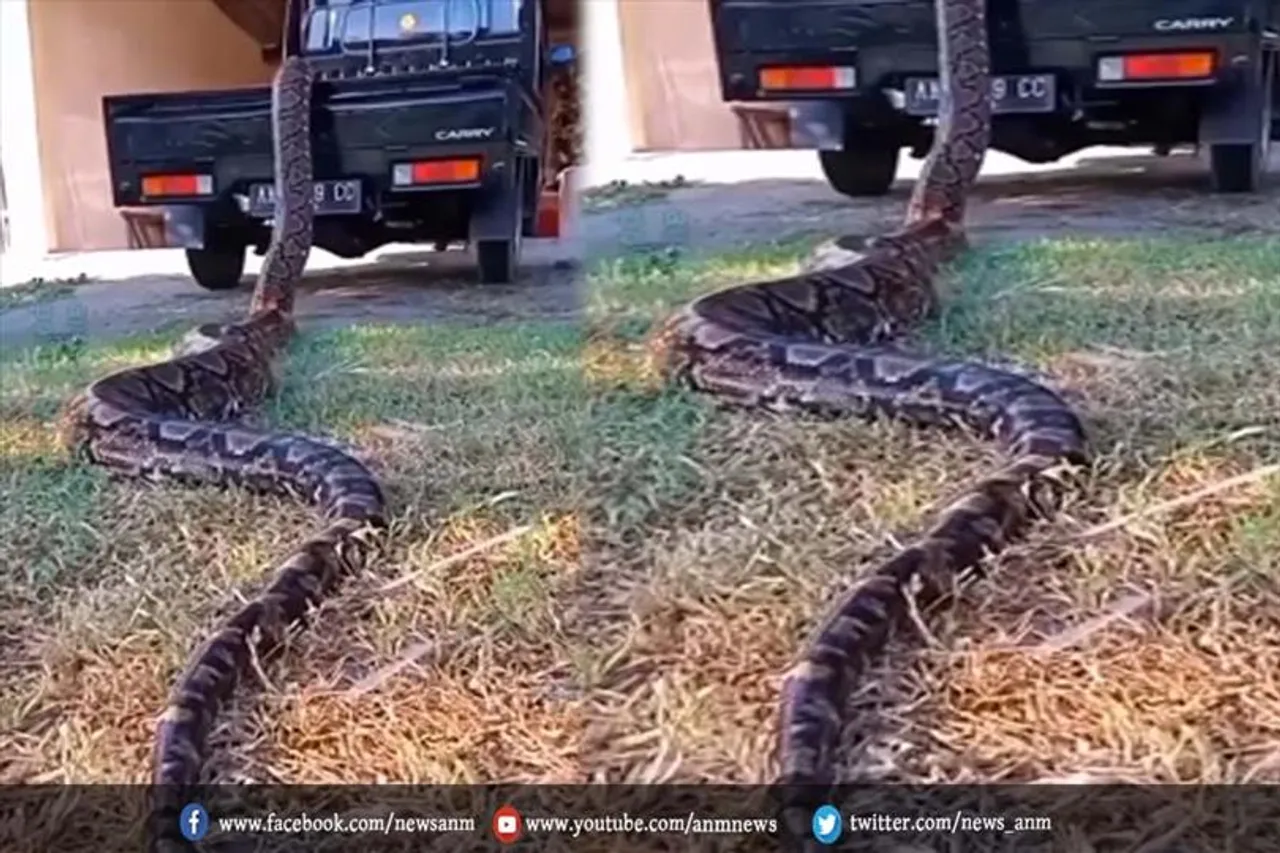 होश उड़ा देने वाला वीडियो