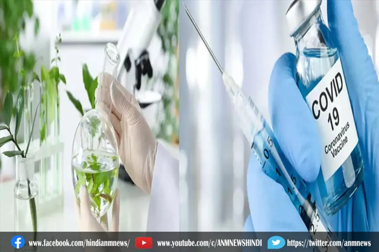 कोरोना वायरस के लिए पौधे से बनी वैक्सीन सौ फीसदी असरदार