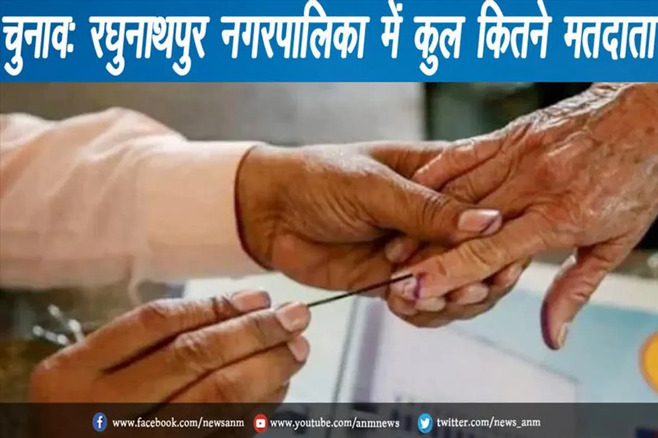 चुनाव: रघुनाथपुर नगरपालिका में कुल कितने मतदाता