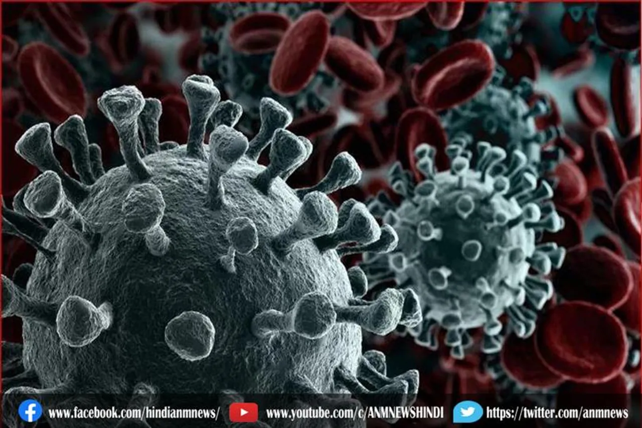 24 घंटे में 43071 नए केस मिले, 955 मरीजों ने गंवाई जान